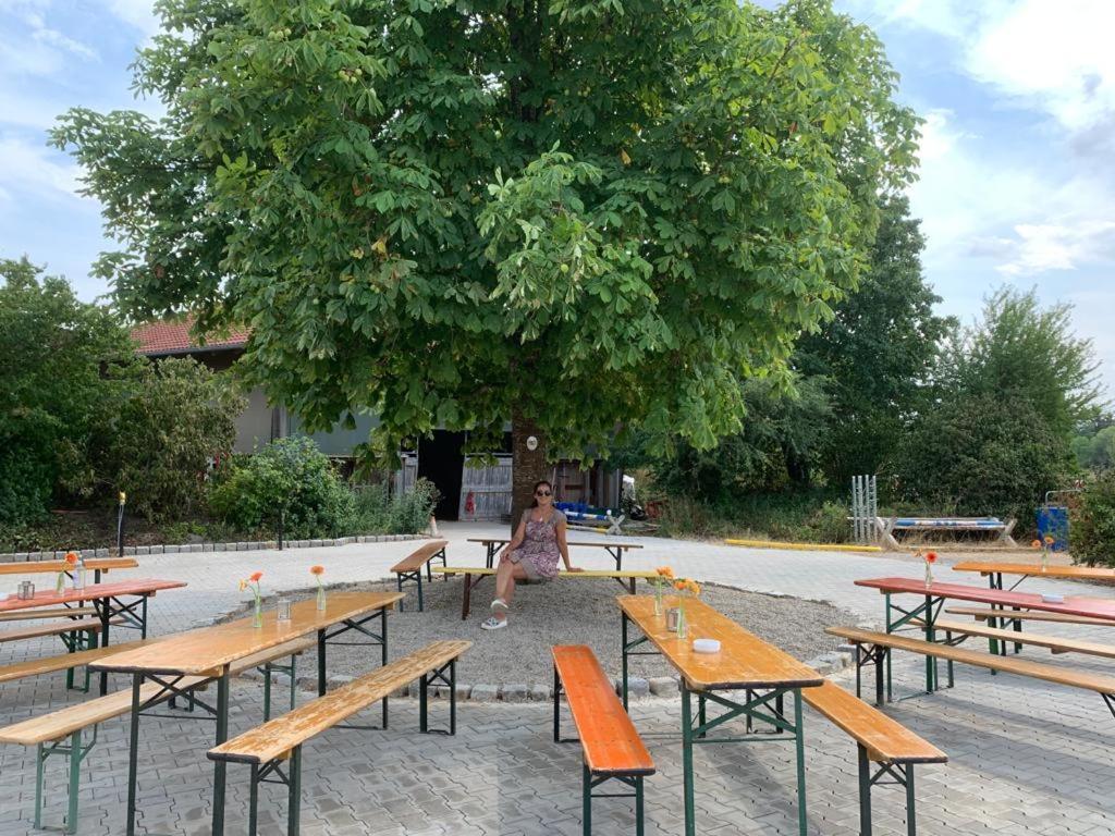 Reitschule Kronwitter Mainbernheim المظهر الخارجي الصورة