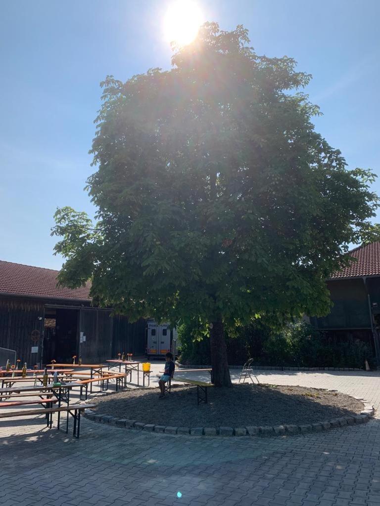 Reitschule Kronwitter Mainbernheim المظهر الخارجي الصورة
